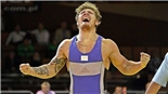 Europamester 2014